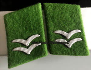 geft-small-2.gif