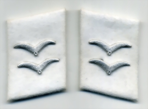 2gl755-small.jpg