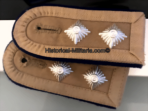 afrishout-small.gif