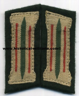 arco022t-small.jpg