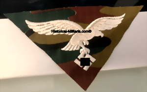 cam1t-small.gif