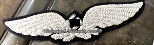 civsilspet-small.gif