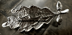 cypheragrft-small.gif cypheragrft-small.gif