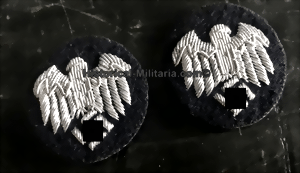 eagle_t-small.gif