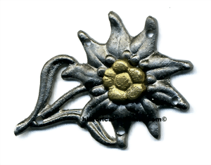 edag089z-small.gif