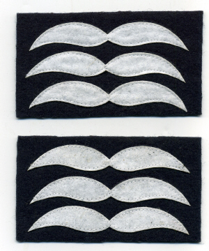 feldwebel196_thb.jpg