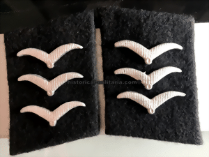 fwscht-small.gif