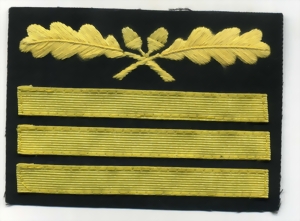gen-der-inf333-small.jpg