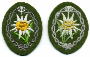 green075-small.jpg green075-small.jpg
