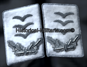 hgdihaupt-small.gif
