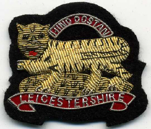 Leicestershire Hindoostan small 104.jpg leicestershire-hindoostan-small-104_thb.jpg