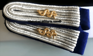 ltshiaest-small.gif ltshiaest-small.gif