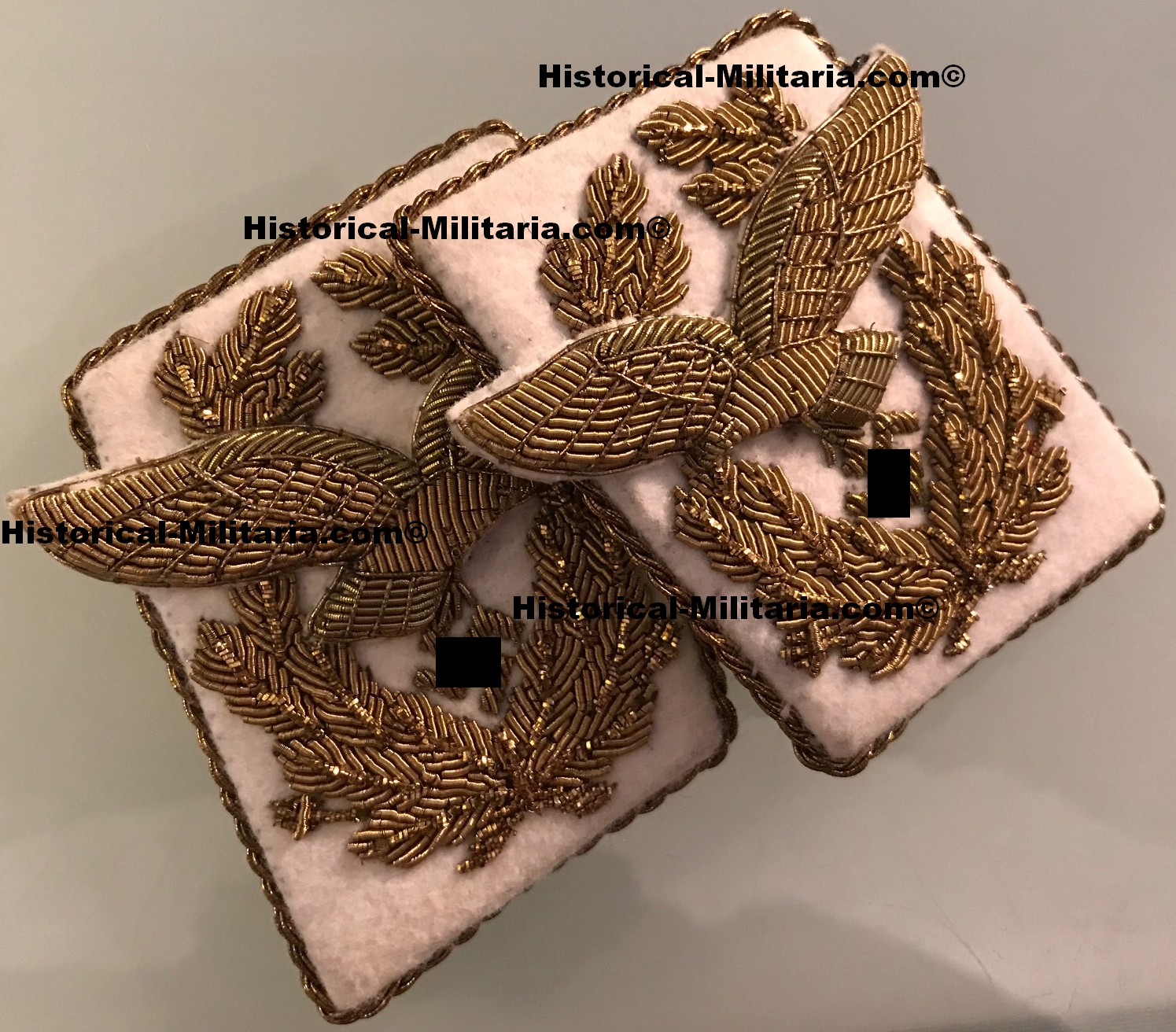Luftwaffe Generaloberst Kragenspiegel Brustadler Set - Luftwaffe General breast eagle + collar tabs set - Set da Corpo d'armata della Luftwaffe tedesca Generaloberst Luftwaffe Generaloberst Kragenspiegel Brustadler Set - Luftwaffe General breast eagle + collar tabs set - Set da Corpo d'armata della Luftwaffe tedesca Generaloberst