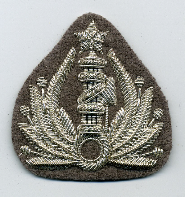 mvsilgr051.jpg