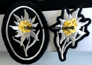 nesetedt-small.gif nesetedt-small.gif