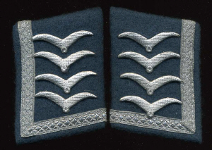 oberfeldwebel130_thb.jpg