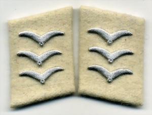 ogefr988-small.jpg