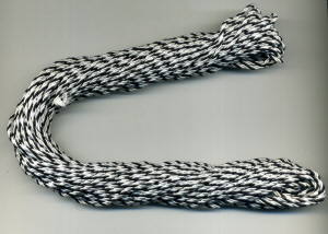 pioniere561_thb.jpg