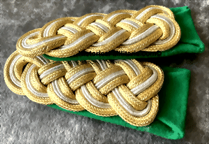 polsshoulsewt-small.gif