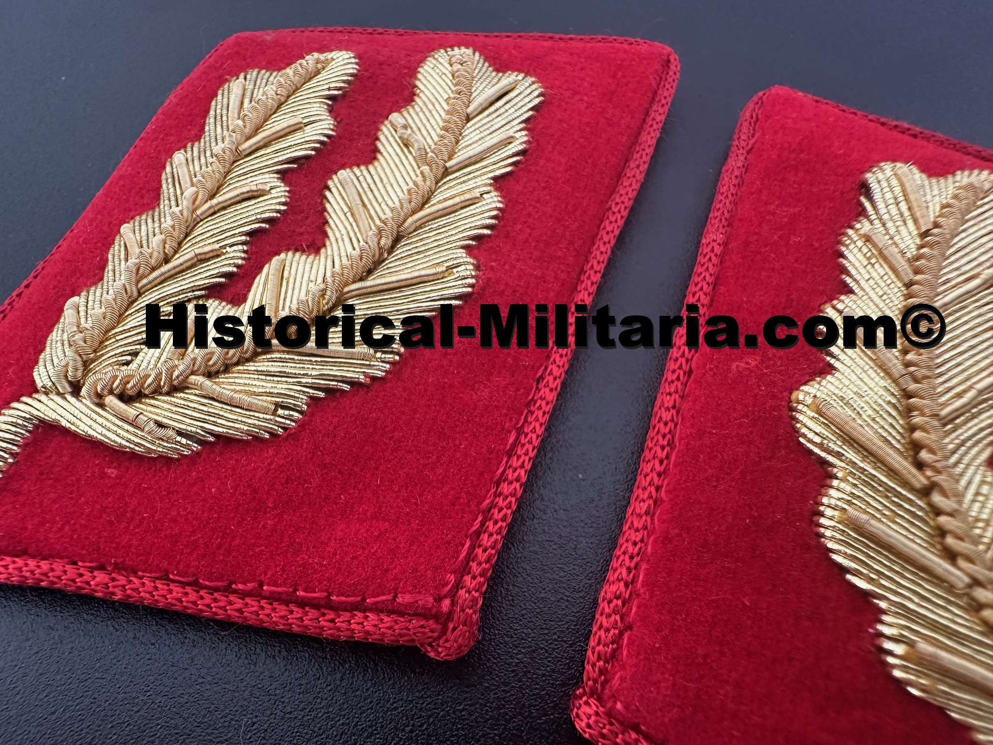 NSDAP Galeiter Kragenspiegel Modell vor 1939 - Province Leader Gauleiter collar tabs pre 1939 model - mostrine della NSDAP da Gauleiter prima del 1939 NSDAP Galeiter Kragenspiegel Modell vor 1939 - Province Leader Gauleiter collar tabs pre 1939 model - mostrine della NSDAP da Gauleiter prima del 1939