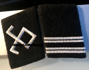 rott-small-3.gif