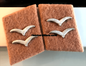 siggefret-small.gif