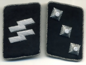 untstf333-small.jpg