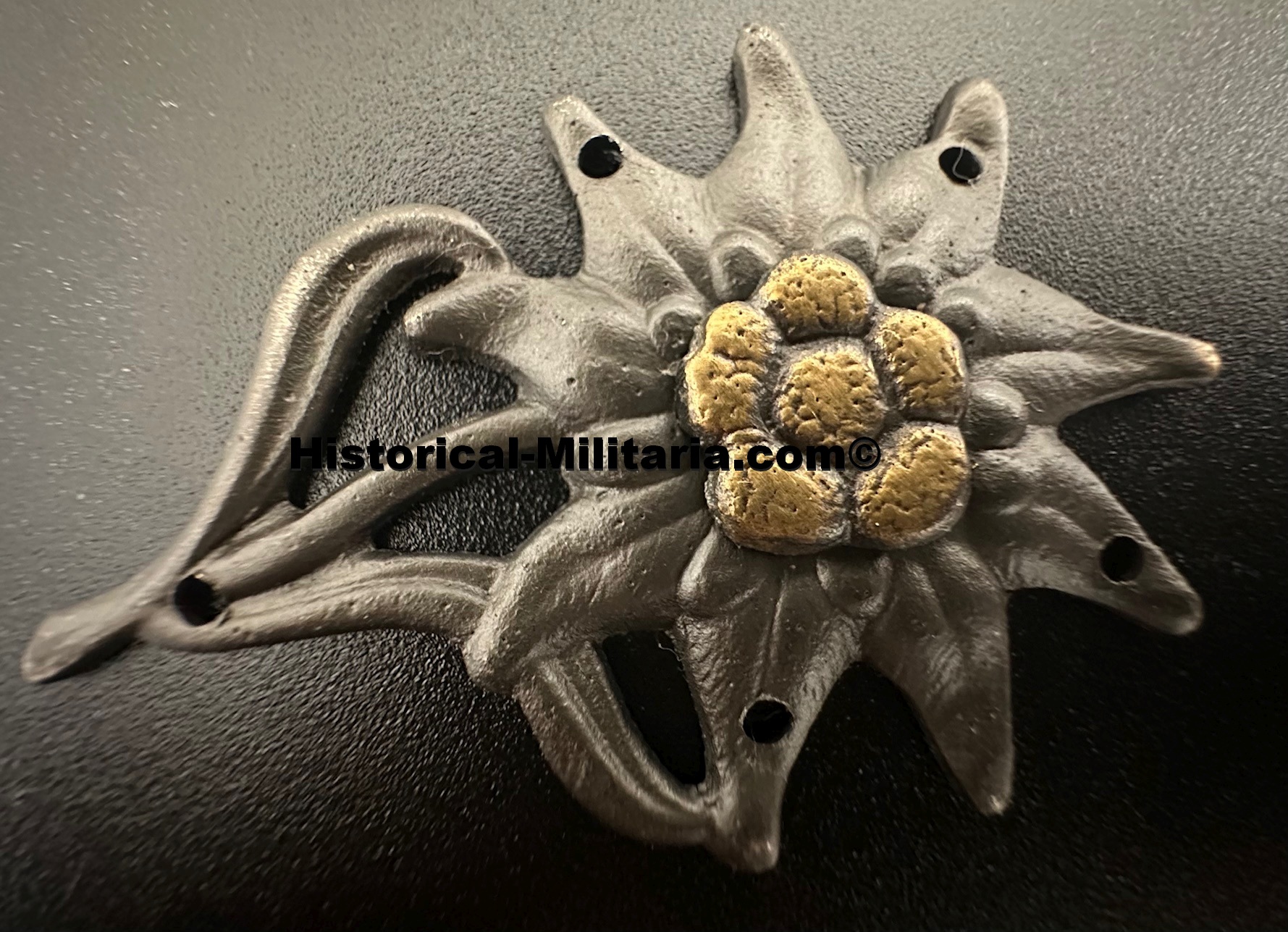 Wehrmacht Mountain Trooper's Cap Edelweiss for German Field Cap with 5 holes with 42 inprint - Mützenedelweiss Heer sehr dunkelgrauJägertruppe - Edelweiss in metallo Bergmütze cacciatore di montagna della Heer Wehrmacht Mountain Trooper's Cap Edelweiss for German Field Cap with 5 holes with 42 inprint - Mützenedelweiss Heer sehr dunkelgrauJägertruppe - Edelweiss in metallo Bergmütze cacciatore di montagna della Heer