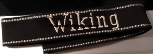 wikingt-small.gif