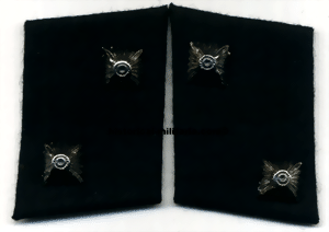 zugfage050t-small.gif